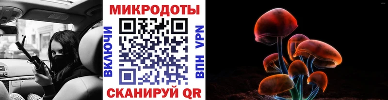 Купить закладки  Минусинск  Галлюциногенные грибы MAGIC MUSHROOMS 